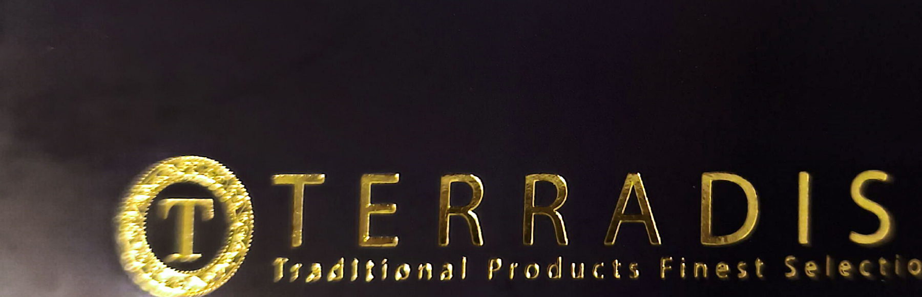 Terradisi logo